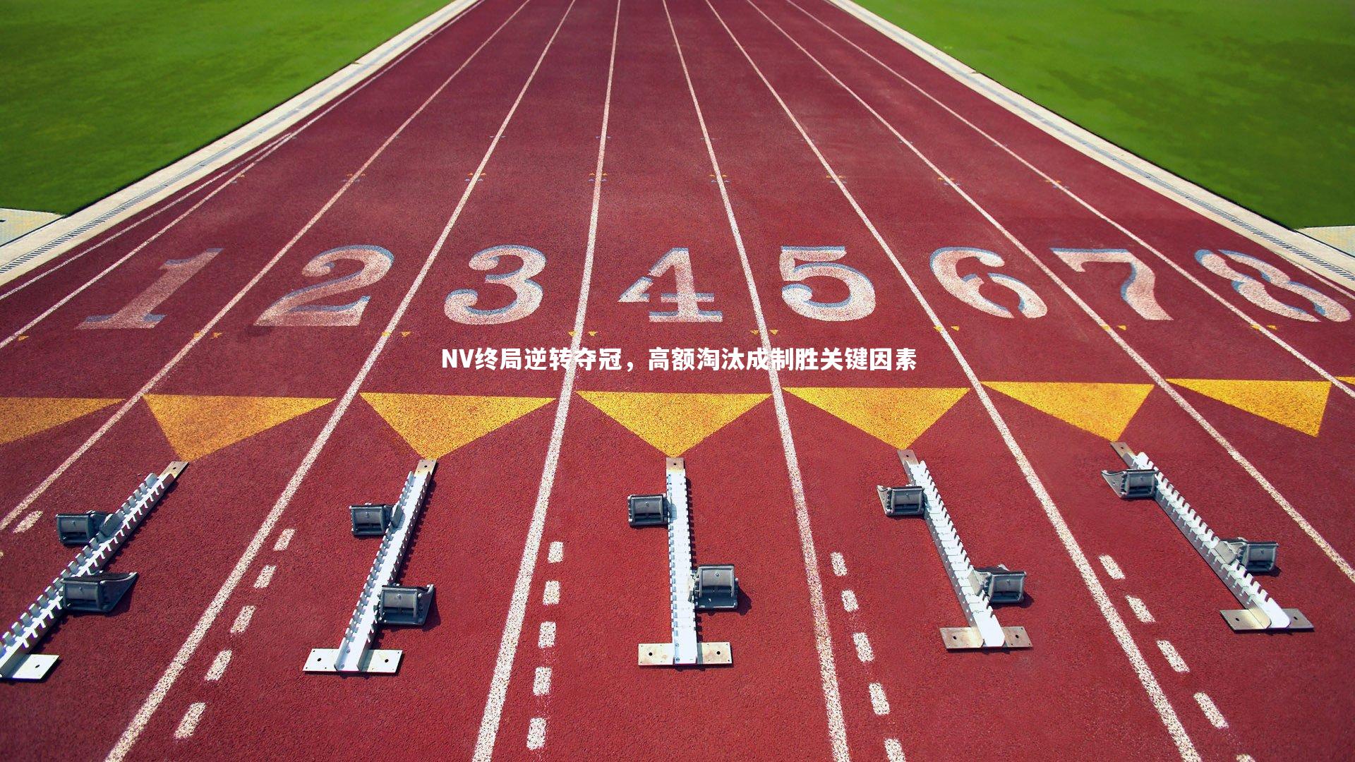 NV终局逆转夺冠,高额淘汰成制胜关键因素